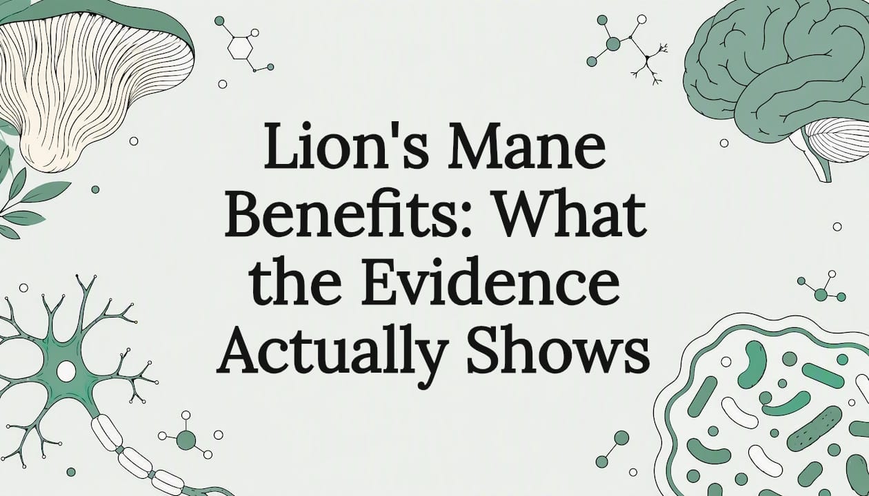 Lion's Mane Benefits: What the Evidence Actually Shows